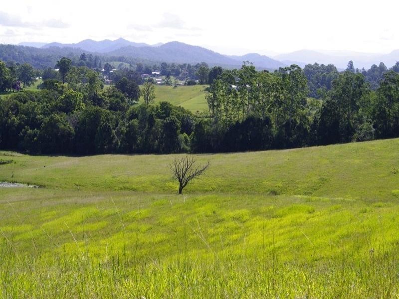 197 Northbank Road, Bellingen NSW 2454