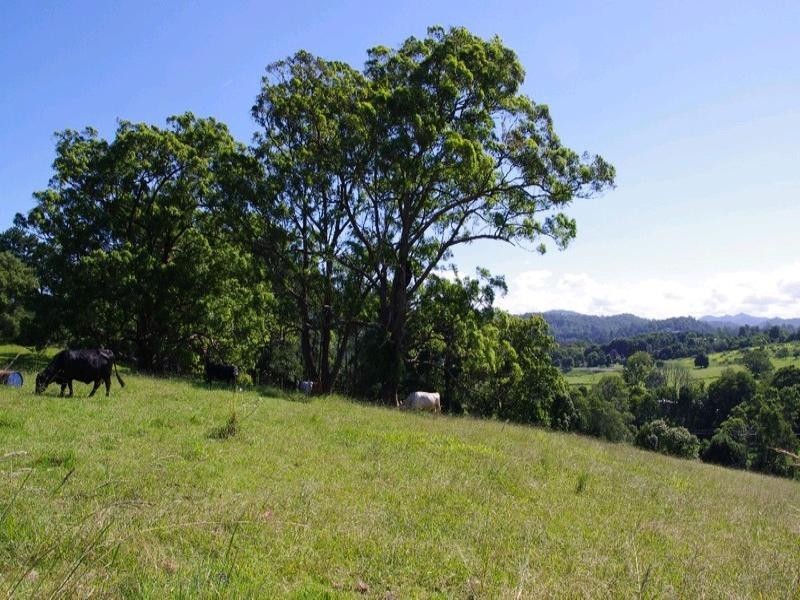 197 Northbank Road, Bellingen NSW 2454