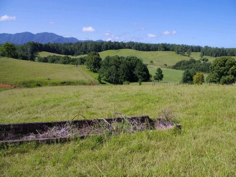 197 Northbank Road, Bellingen NSW 2454