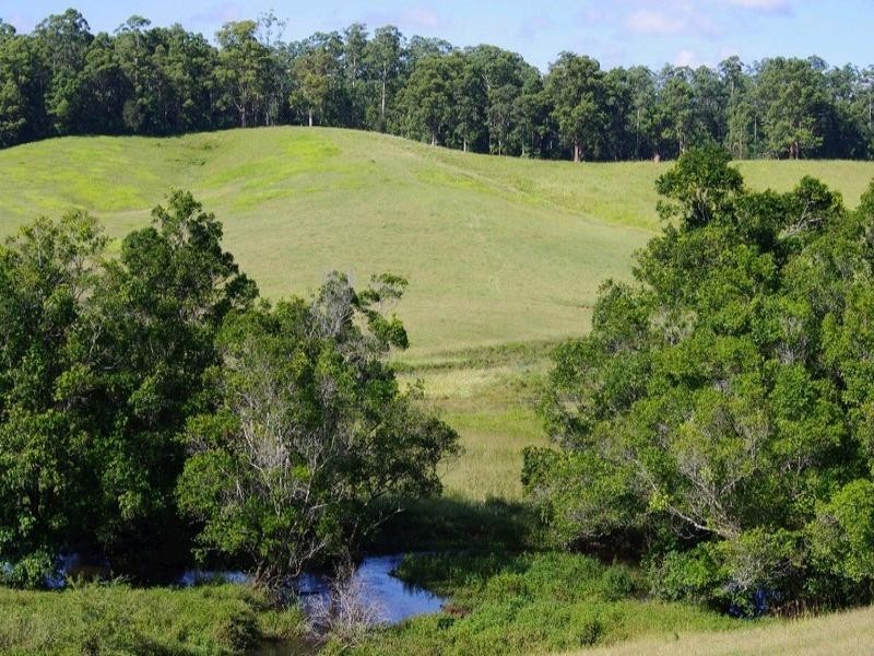 197 Northbank Road, Bellingen NSW 2454