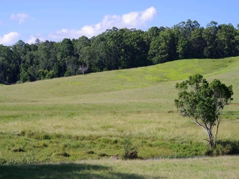 197 Northbank Road, Bellingen NSW 2454