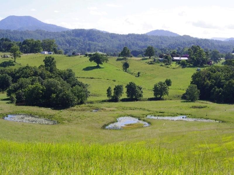 197 Northbank Road, Bellingen NSW 2454