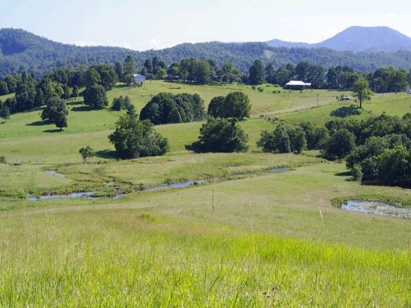 197 Northbank Road, Bellingen NSW 2454
