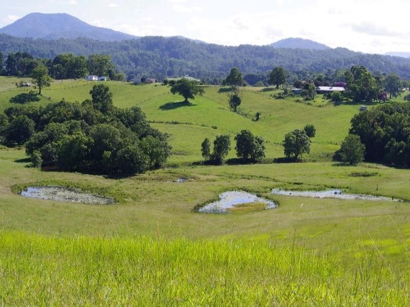 197 Northbank Road, Bellingen NSW 2454