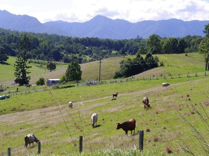 197 Northbank Road, Bellingen NSW 2454