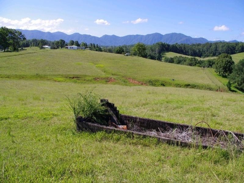 197 Northbank Road, Bellingen NSW 2454