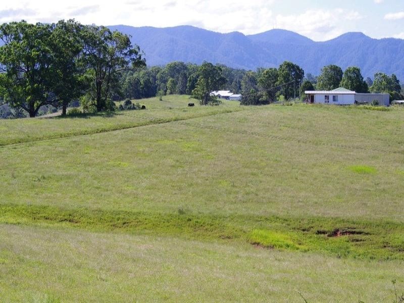 197 Northbank Road, Bellingen NSW 2454