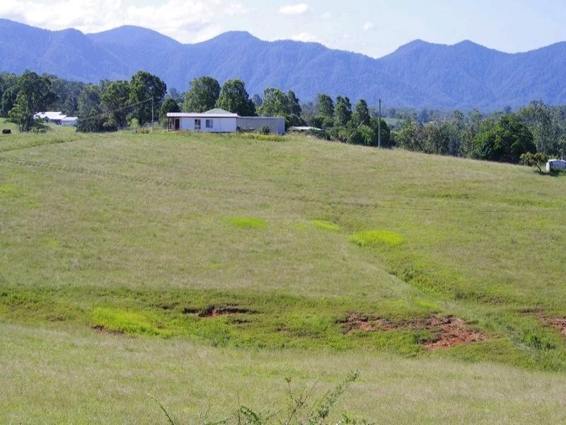 197 Northbank Road, Bellingen NSW 2454