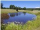 194 Ellems Quarry Road, Nana Glen NSW 2450