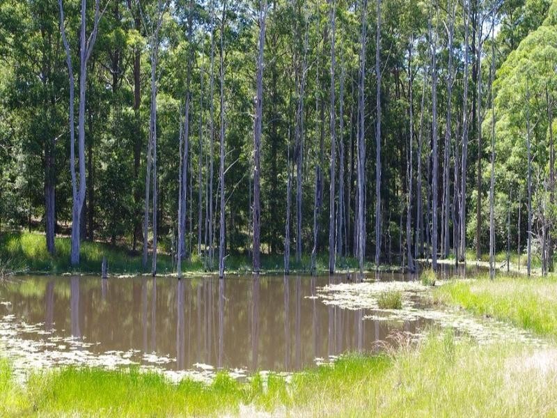 194 Ellems Quarry Road, Nana Glen NSW 2450