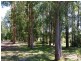 194 Ellems Quarry Road, Nana Glen NSW 2450