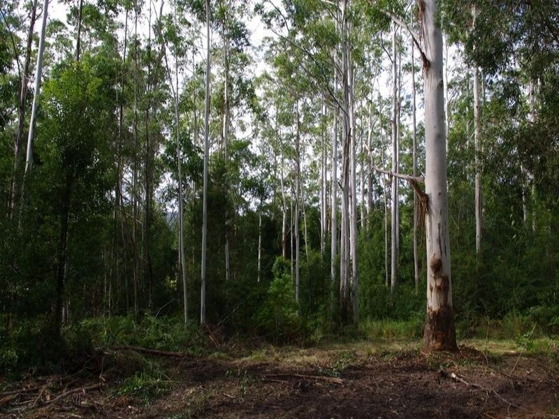 Lot 201 Bucca Road, Nana Glen NSW 2450