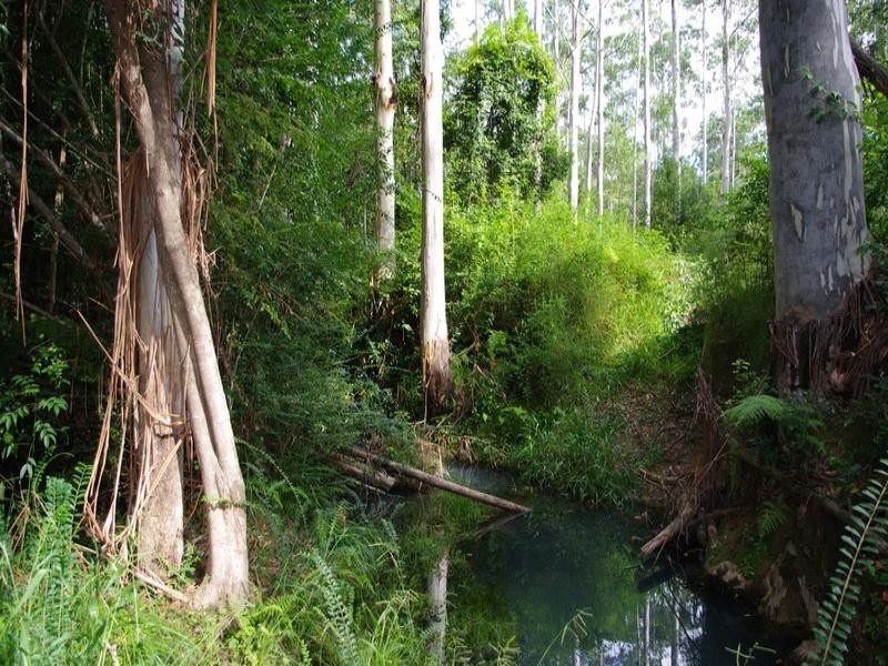 Lot 201 Bucca Road, Nana Glen NSW 2450