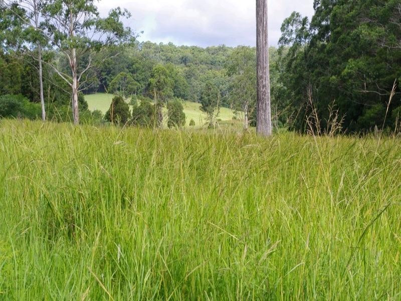 Lot 201 Bucca Road, Nana Glen NSW 2450