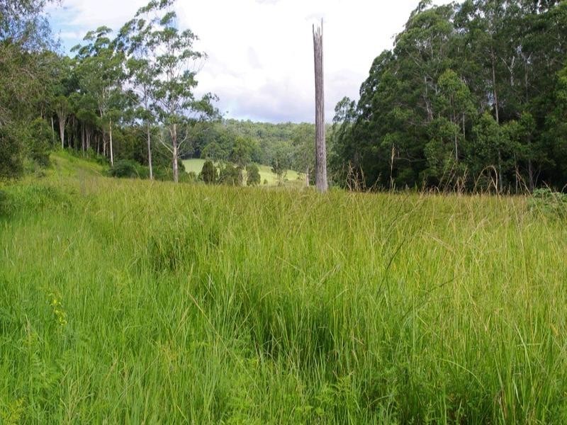 Lot 201 Bucca Road, Nana Glen NSW 2450
