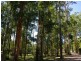 194 Ellems Quarry Road, Nana Glen NSW 2450