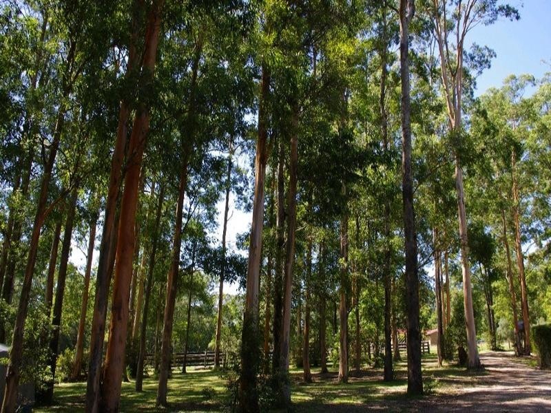194 Ellems Quarry Road, Nana Glen NSW 2450