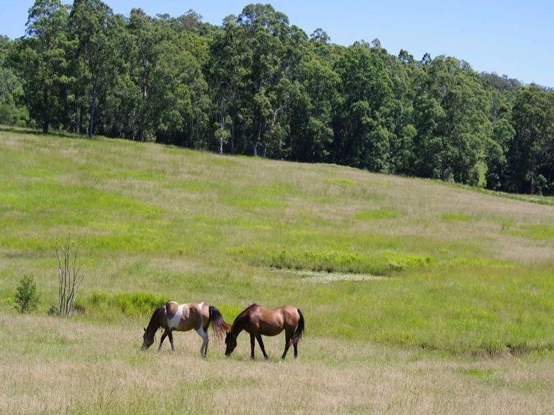 194 Ellems Quarry Road, Nana Glen NSW 2450