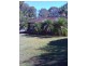 1 Willow Place, Sandy Beach NSW 2456