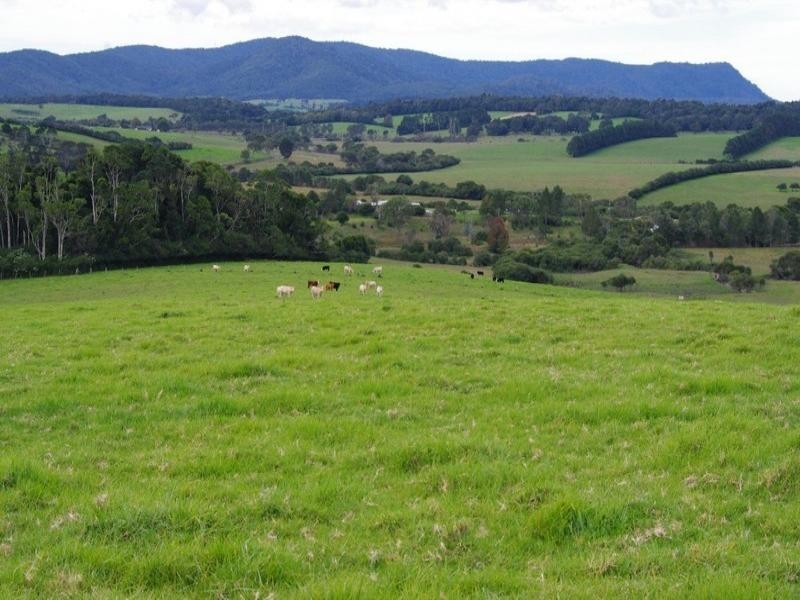 190 Rocky Creek Road, Dorrigo NSW 2453