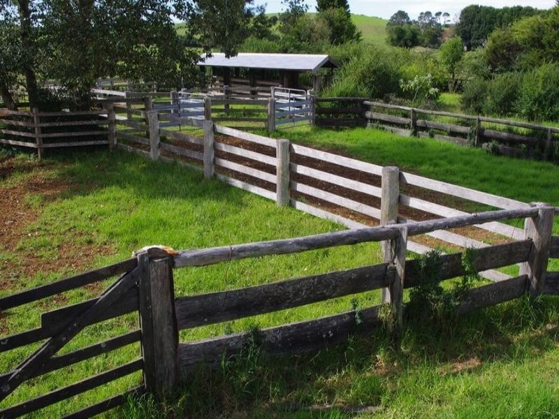 190 Rocky Creek Road, Dorrigo NSW 2453