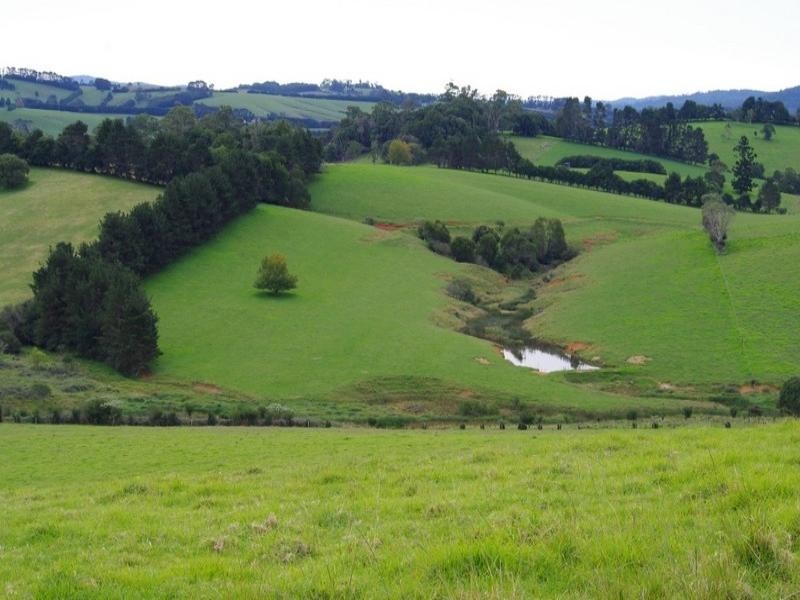 190 Rocky Creek Road, Dorrigo NSW 2453