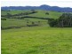 190 Rocky Creek Road, Dorrigo NSW 2453