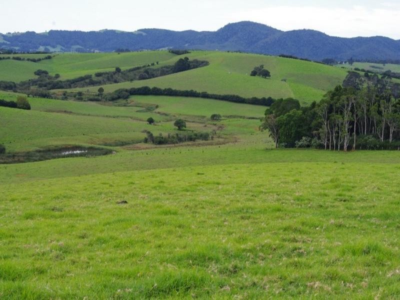 190 Rocky Creek Road, Dorrigo NSW 2453