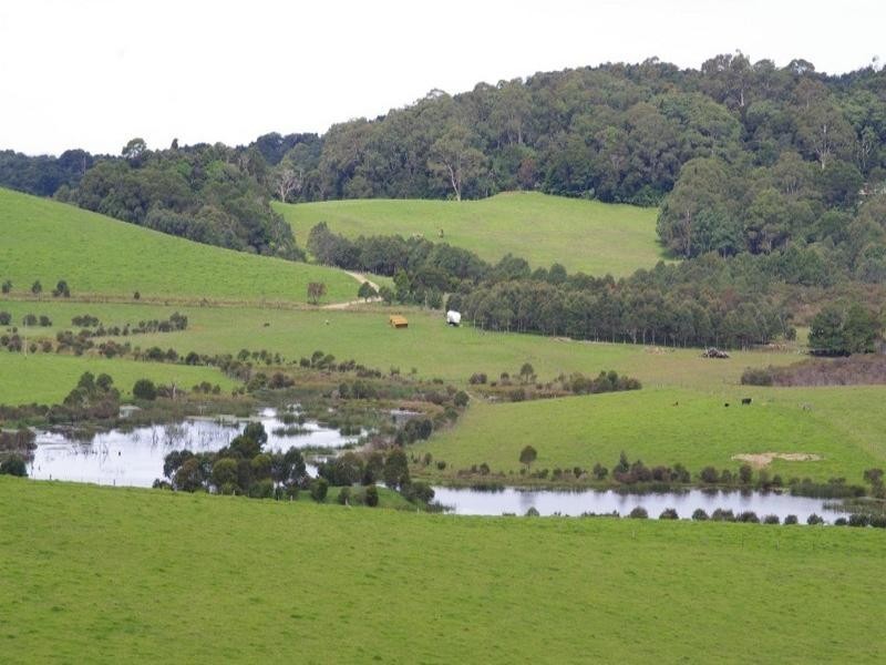 190 Rocky Creek Road, Dorrigo NSW 2453