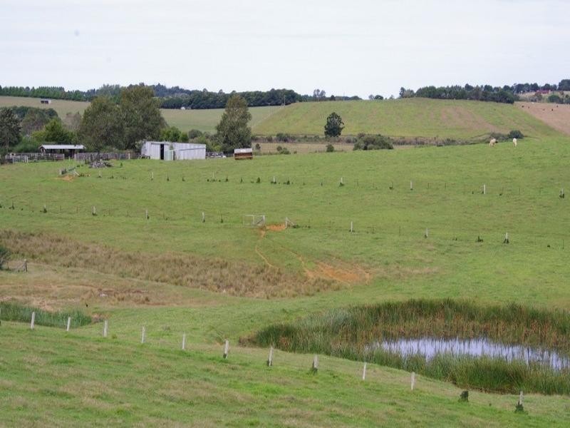 190 Rocky Creek Road, Dorrigo NSW 2453