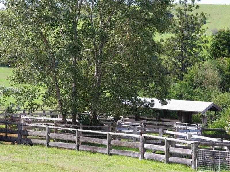 190 Rocky Creek Road, Dorrigo NSW 2453