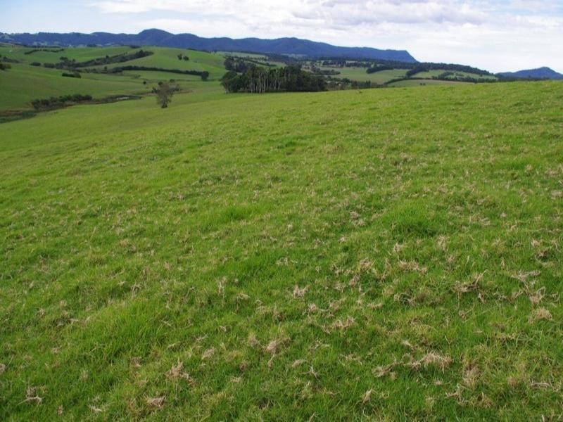 190 Rocky Creek Road, Dorrigo NSW 2453