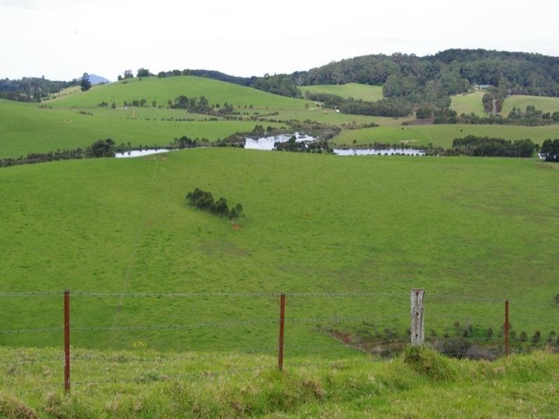 190 Rocky Creek Road, Dorrigo NSW 2453