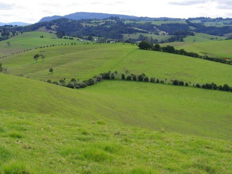 190 Rocky Creek Road, Dorrigo NSW 2453