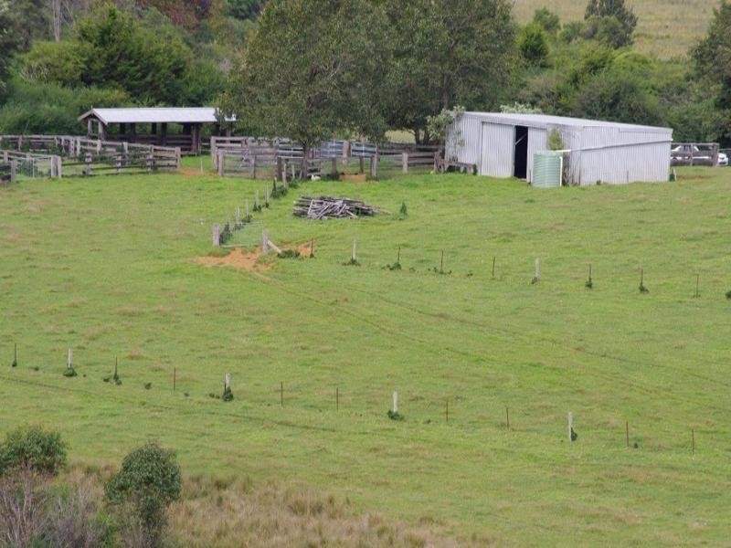 190 Rocky Creek Road, Dorrigo NSW 2453