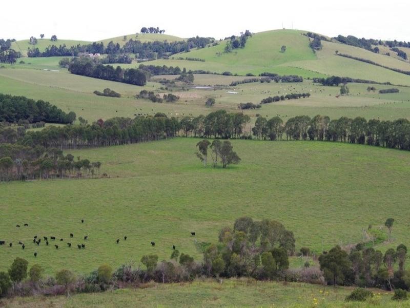 190 Rocky Creek Road, Dorrigo NSW 2453