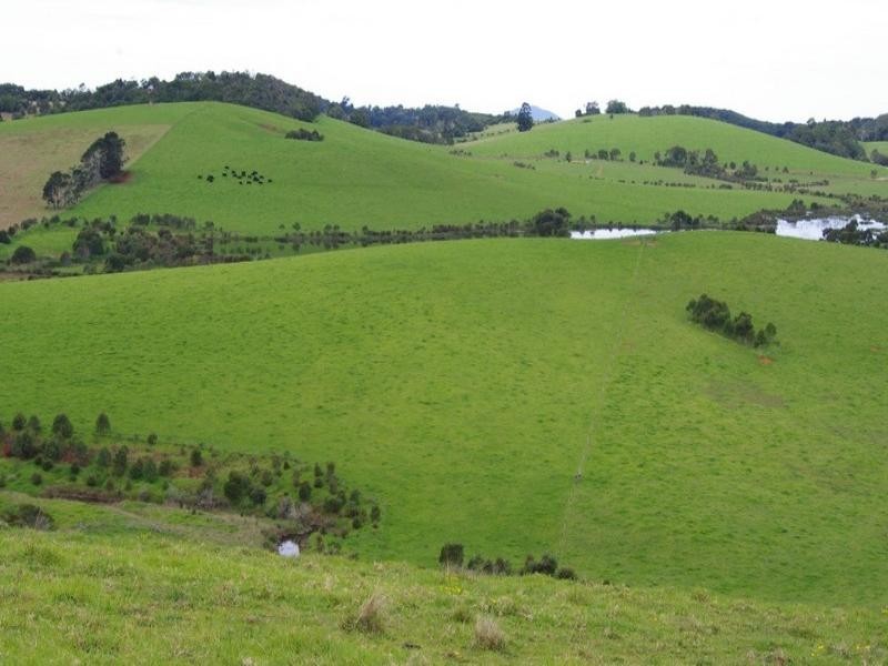 190 Rocky Creek Road, Dorrigo NSW 2453
