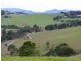 190 Rocky Creek Road, Dorrigo NSW 2453