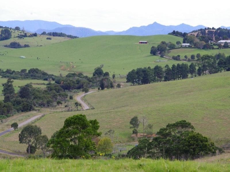 190 Rocky Creek Road, Dorrigo NSW 2453