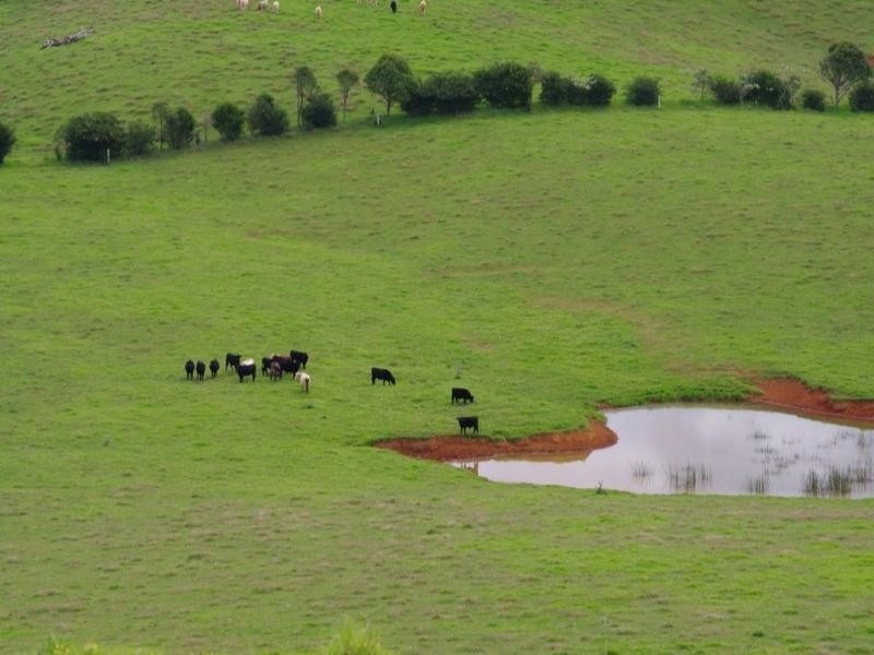 190 Rocky Creek Road, Dorrigo NSW 2453