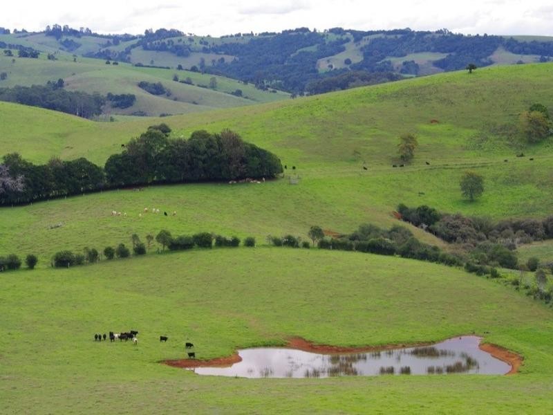 190 Rocky Creek Road, Dorrigo NSW 2453