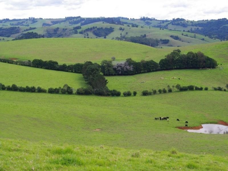 190 Rocky Creek Road, Dorrigo NSW 2453
