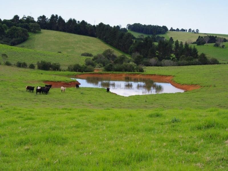 190 Rocky Creek Road, Dorrigo NSW 2453