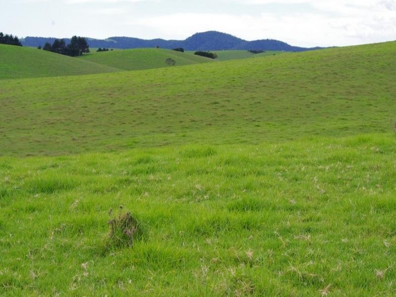 190 Rocky Creek Road, Dorrigo NSW 2453