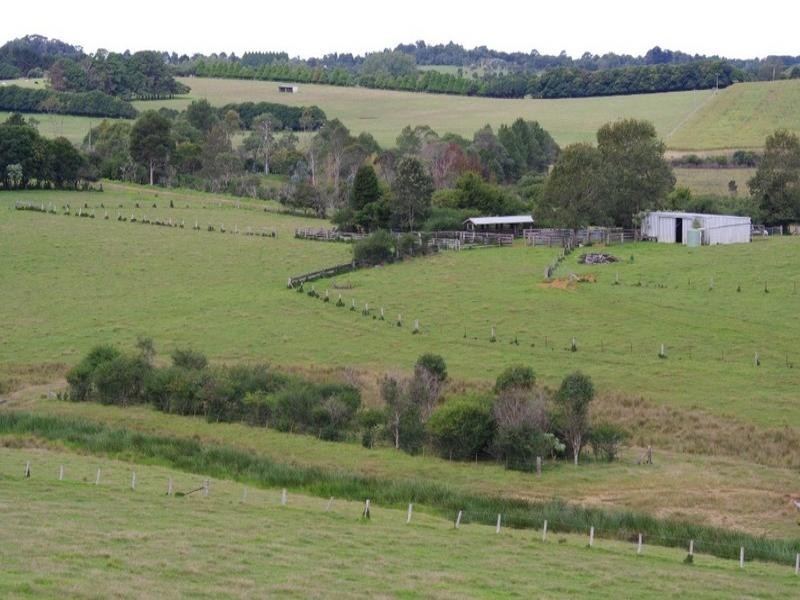 190 Rocky Creek Road, Dorrigo NSW 2453