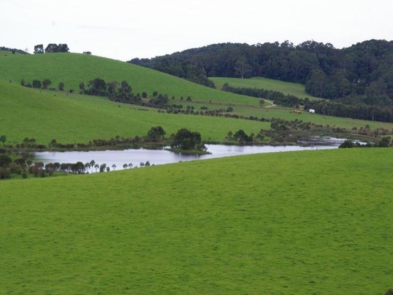 190 Rocky Creek Road, Dorrigo NSW 2453