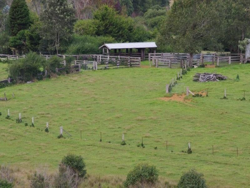 190 Rocky Creek Road, Dorrigo NSW 2453