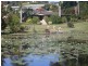 14B Seabreeze Place, Coffs Harbour NSW 2450