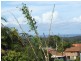 7 Perry Drive, Coffs Harbour NSW 2450