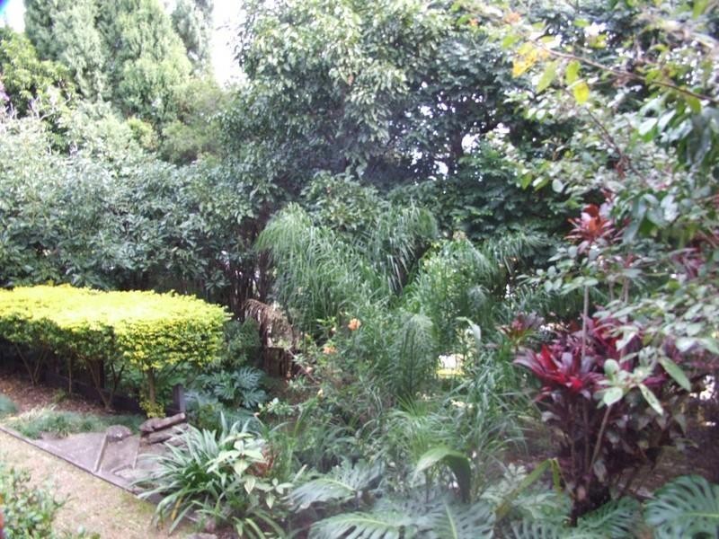 7 Perry Drive, Coffs Harbour NSW 2450
